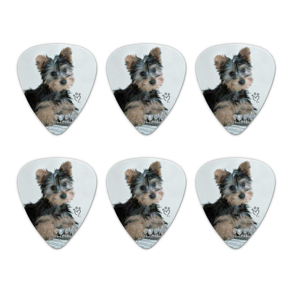 Yorkie Yorkshire Terrier Puppy Dog Musical Instrument Novelty Guitar Picks Medium Gauge - Set of 6
