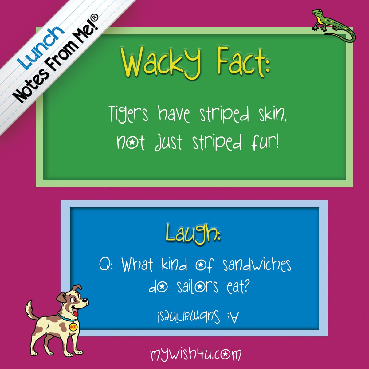 Notes From Me! 101 Tear-Off Lunch Box Notes for Kids, Wacky Facts & Laughs, Inspirational, Motivational, Thinking of You, Jokes for Kids, Back to School Essentials, Ages 8+ - Image 3