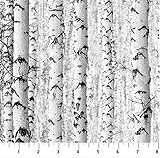 Cotton Birch Trees Tree Trunks Bark Woods Forest Landscape Naturescapes Solitude Gray Northcott Cotton Fabric Print by The Yard (26775-91)