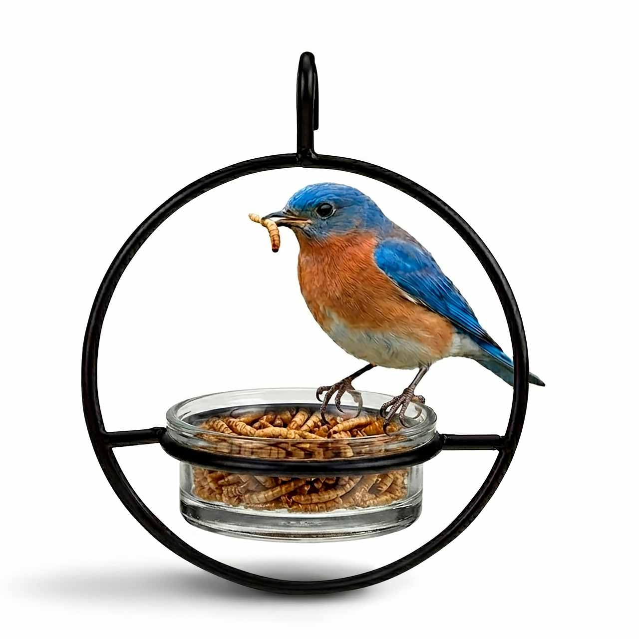 Mosaic Birds Hummble Hanging Glass Bluebird Mealworm Feeder