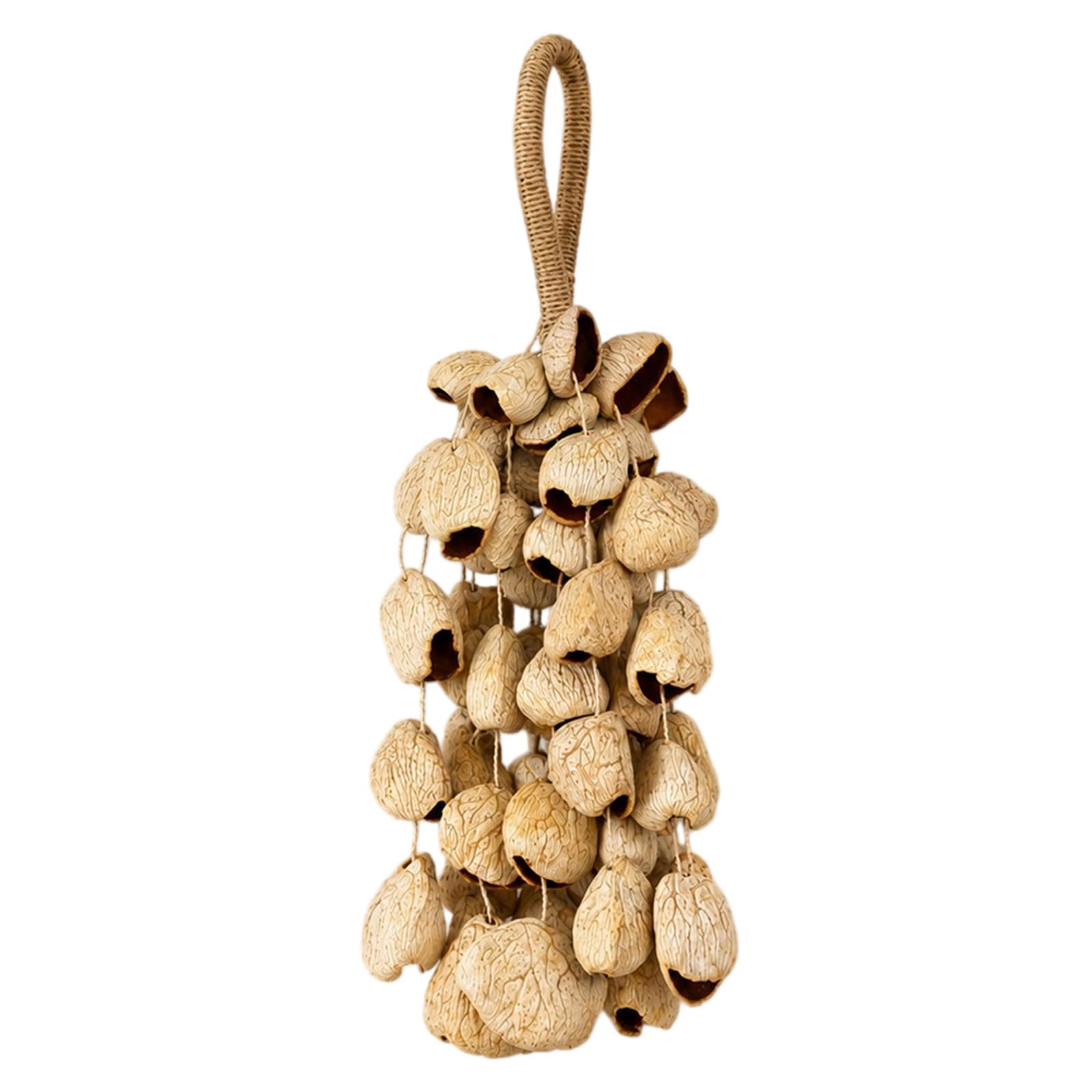 Campanelli a vento compatti leggeri con guscio di frutta naturale per musica da viaggio strumenti a percussione per musica da viaggio strumenti a percussione da giardino all'aperto