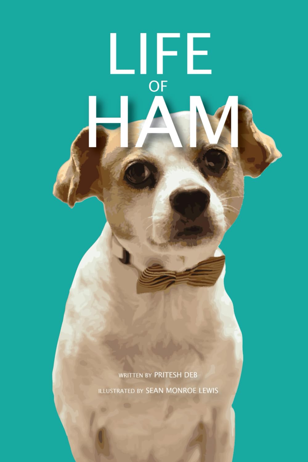 Life of Ham      Paperback – February 13, 2025