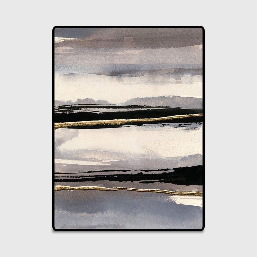 Ksainiy Short Velvet Carpet Bedroom Dress Up Home Improvement Carpet Fashion Abstract Watercolor Ink Gray Striped Bedroom Living Room Kitchen Floor Mat Carpet (Color : B, Size : 160230CM)