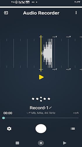 Audio recorder pro