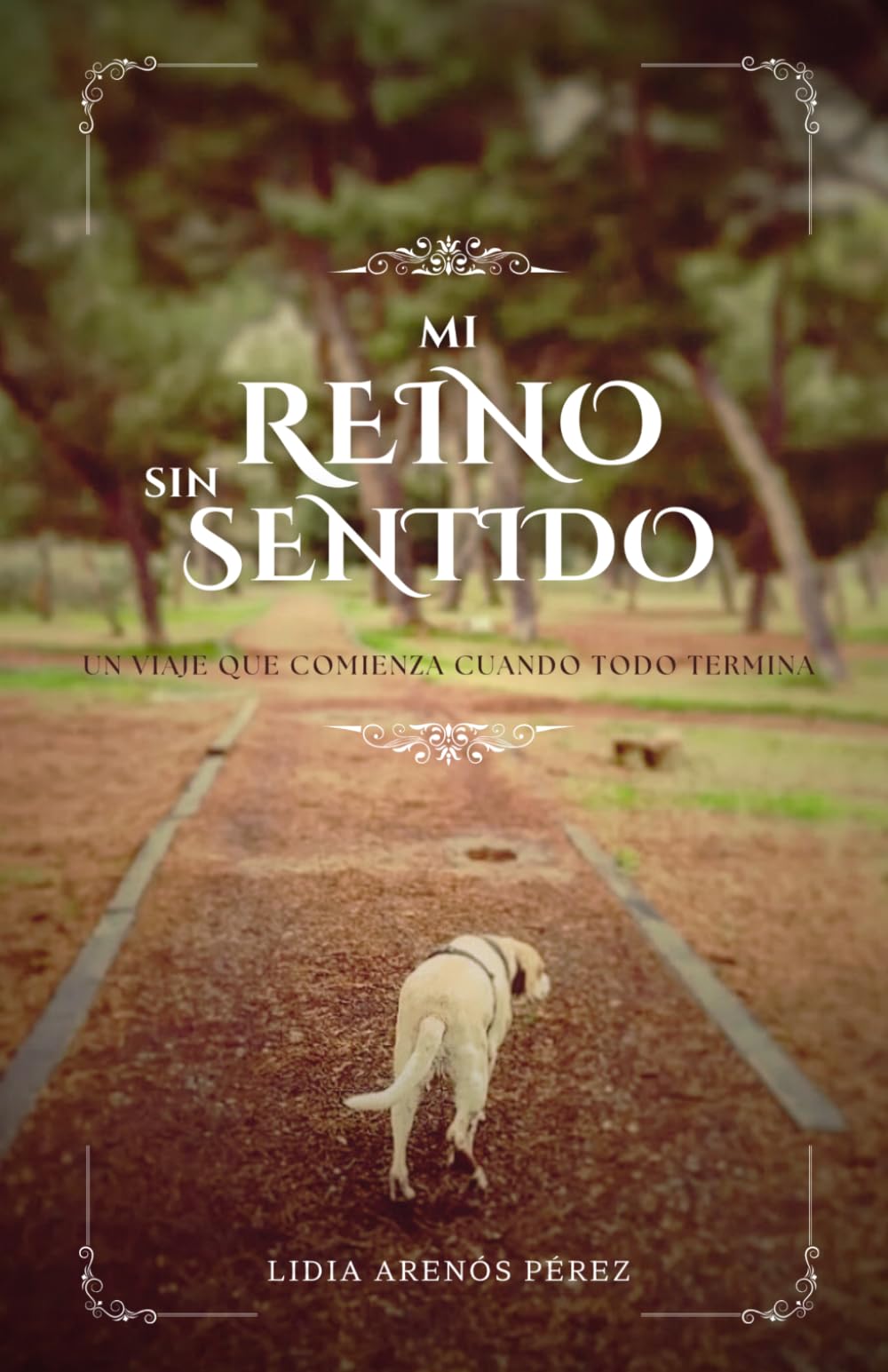 Mi reino sin sentido: El viaje que comienza cuando todo termina