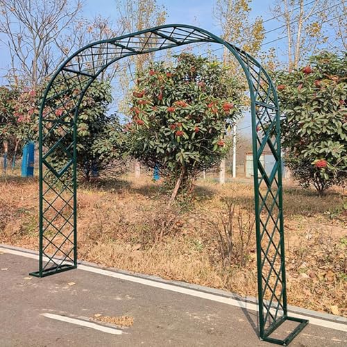 S K[fA[` pA[` A𔇂킹t[ŔԂo - p[eB[ɍœKȑϋv̂fUC