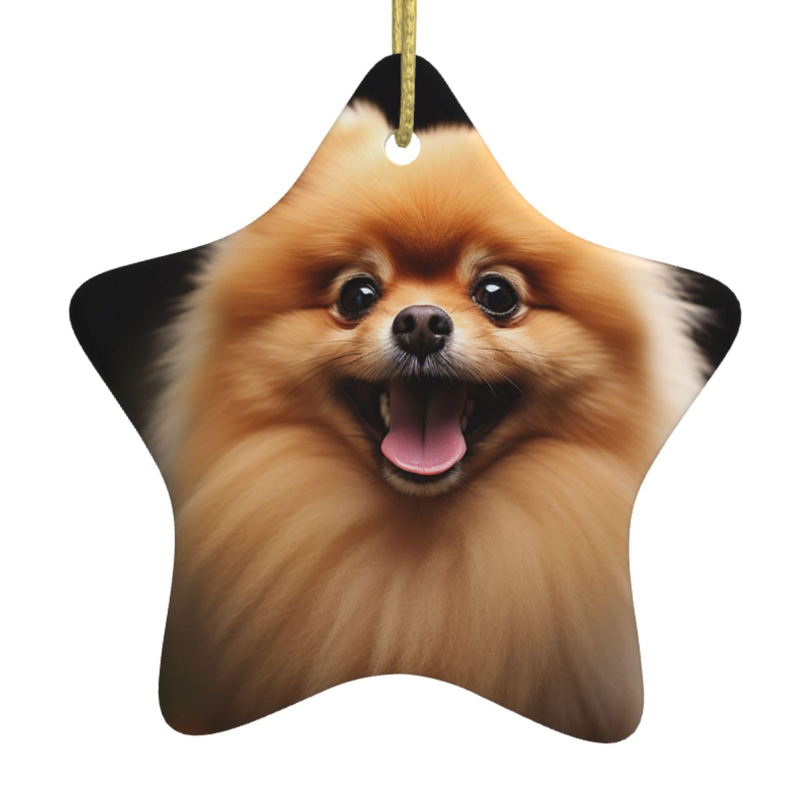 Ceramic Christmas Tree Hanging Ornaments with Gold Ropes Christmas Tree Decorations Star Ceramic Pomeranian Pendant Keepsake Decorations for Holiday Xmas Gift Ideas