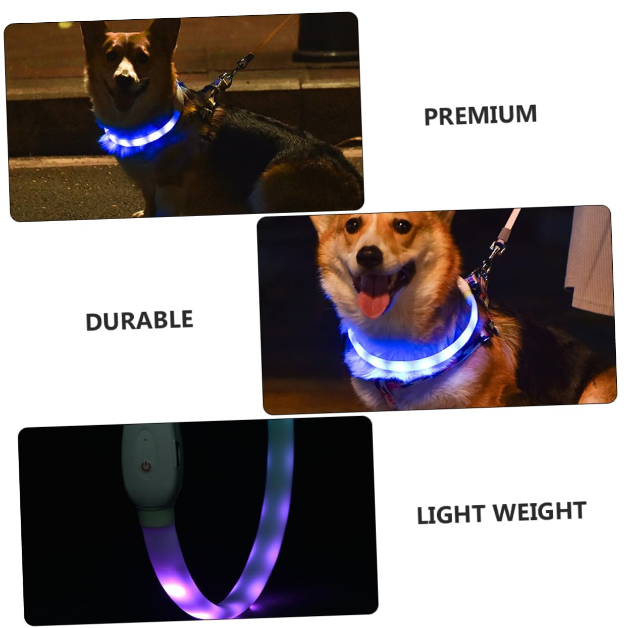 Toddmomy 3ensembles Collier LED pour Chien Rechargeable Collier Lumineux Ajustable USB Sécurité pour Animaux De Compagnie