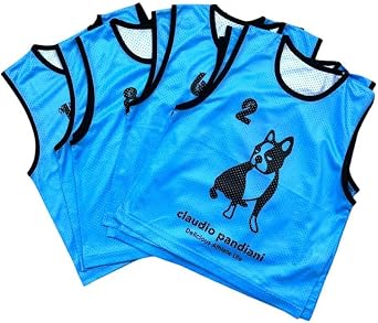 Amazon.co.jp: [claudio pandiani] サッカージャンキー/SoccerJunky