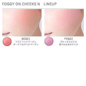 チーク NK ヴィセ リシェ フォギーオンチークス N