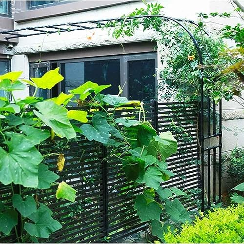 Arche de jardin décorative pour habiller vos murs de rosiers