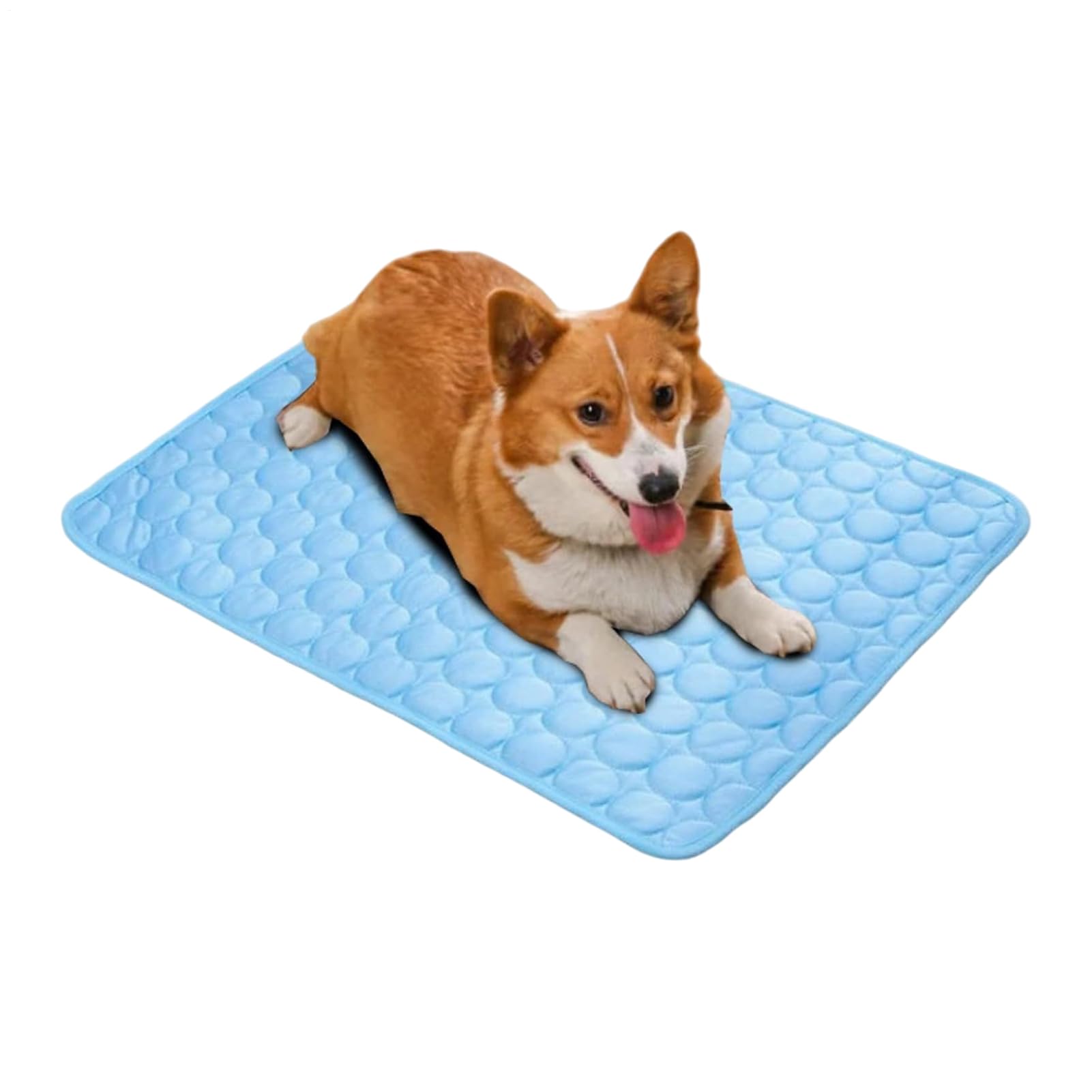 Tapis de refroidissement pour chien chiot literie respirante sol