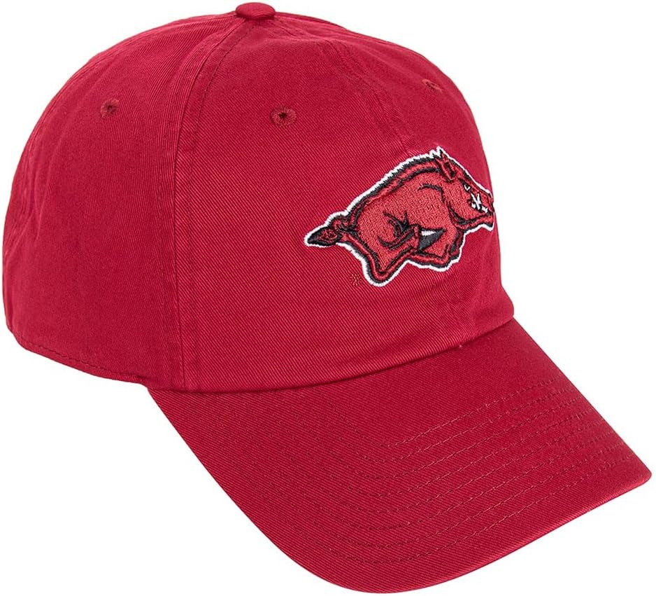 Desert Cactus University of Arkansas Baseball Hat Razorbacks U of A Hogs Brimmed Embroidered Hats Cap Adjustable Cloth Strap