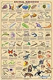 Picture Peddler Animal Kingdom II Educational Science Teacher Classroom Chart Print Poster 24x36