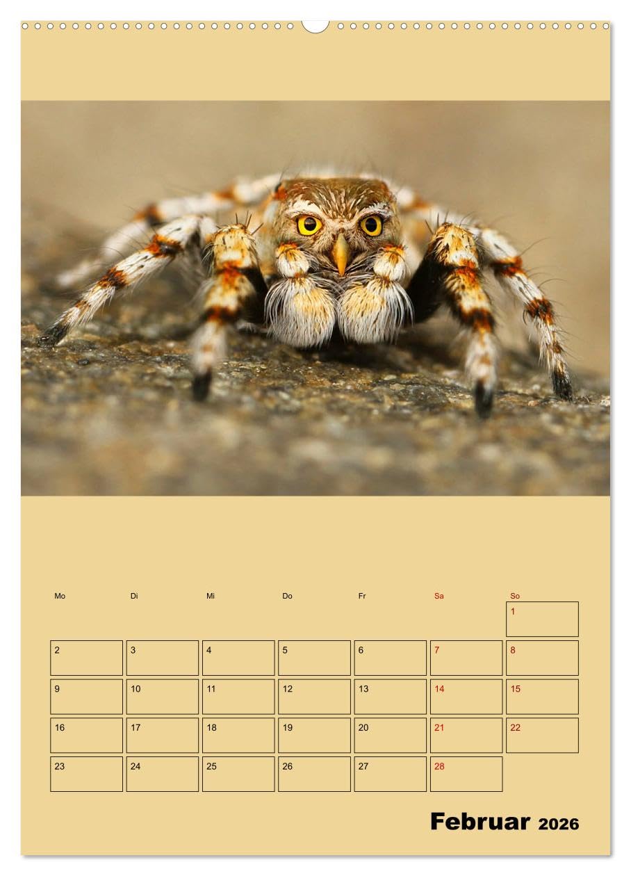 Seltsame Tiere - da stimmt doch was nicht... (hochwertiger Premium Wandkalender 2026 DIN A2 hoch), Kunstdruck in Hochglanz: Fantasiewesen, geboren aus erstaunlichen Bildmanipulationen (CALVENDO Tiere)