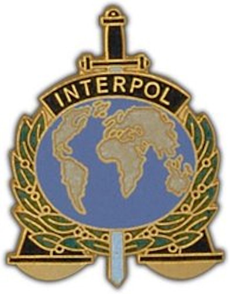 HMCInterpol Large Pin