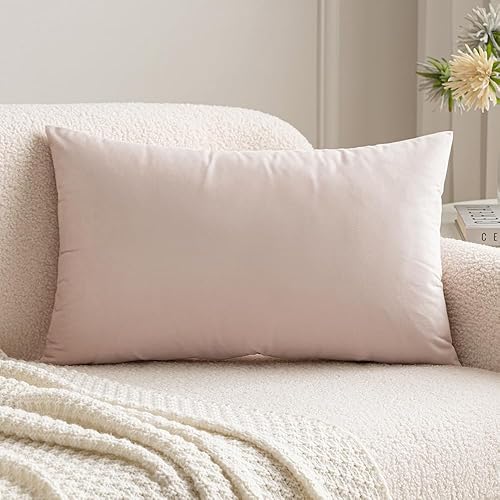 MIULEE Velvet Pillow Cover Soft Luxury Valentines Decorative Throw Pillow Cover Single Rectangle Cushion Case for Spring Couch Sofa Bedroom Car Decor,12x20 Inch Pink