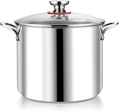 P&P CHEF Olla de acero inoxidable de 12 cuartos de galón con tapa, olla grande para cocinar sopa de pasta, utensilios de cocina para estufas