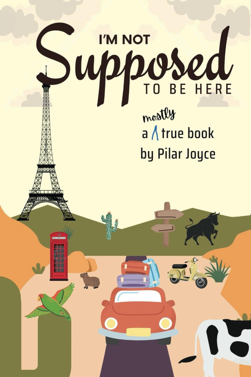 I'm not supposed to be here: A mostly true book