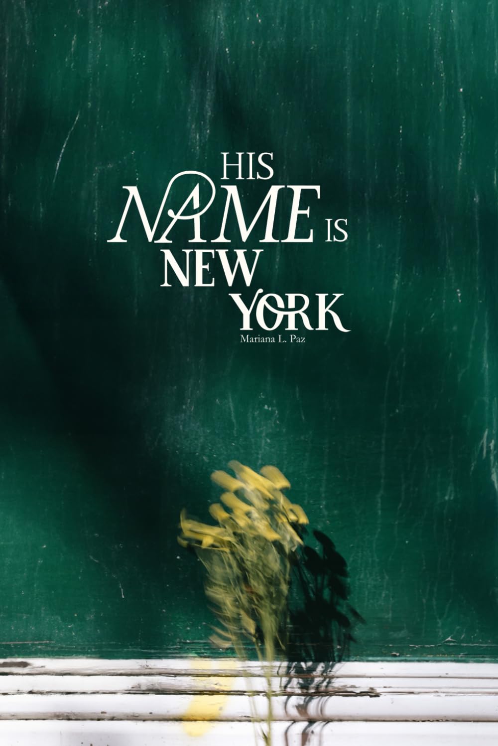 His Name is New York comblez le vide de vos étagères avec ce grand livre d'art