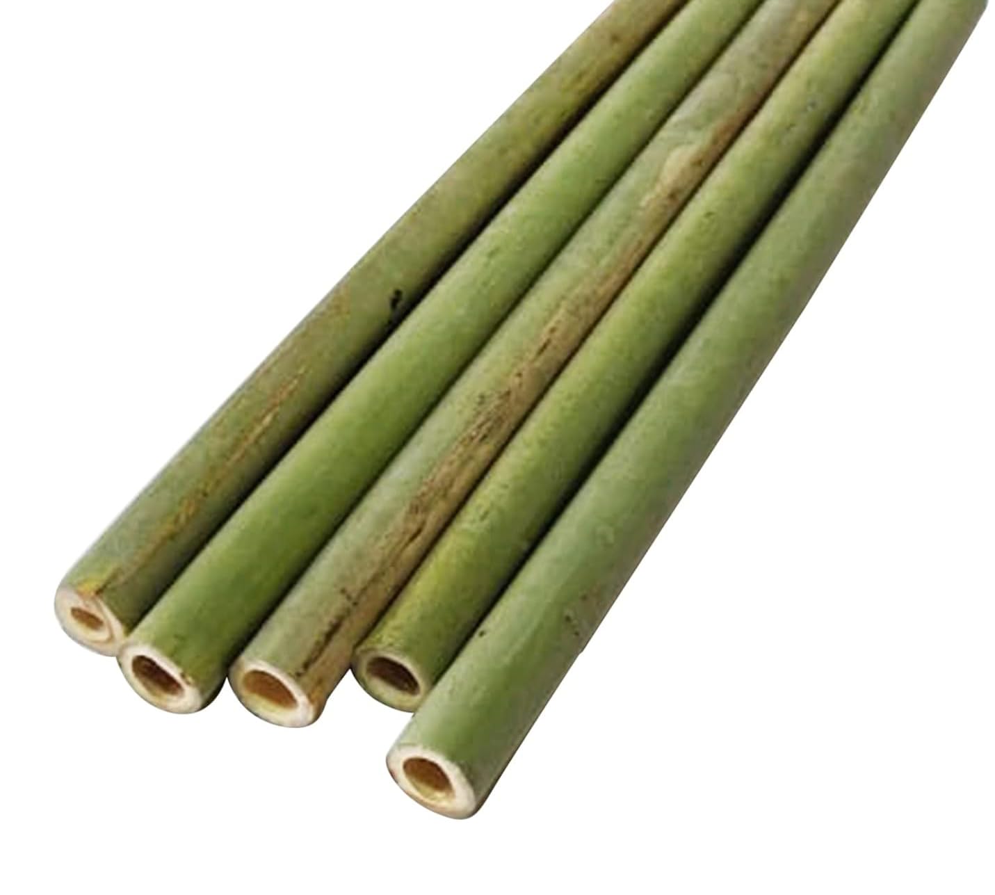 BIMA Natural Hand Made Green Bamboo Therapy Sticks (Lenght 56 CM, Pack of 6 Pieces)