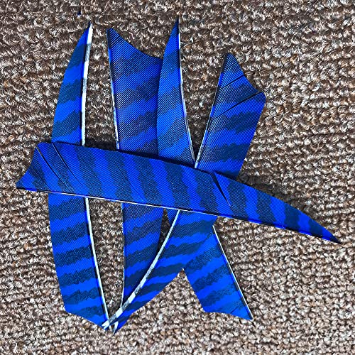 Ameyxgs 50 Pcs Archery Turkey Feather Fletching 4 Inch 5 Inch Natural Feather Fletching Diy Arrows Fletching Right Wings Vanes For Hunting Arrow Accessories (4Inch, Blue) #TOP2