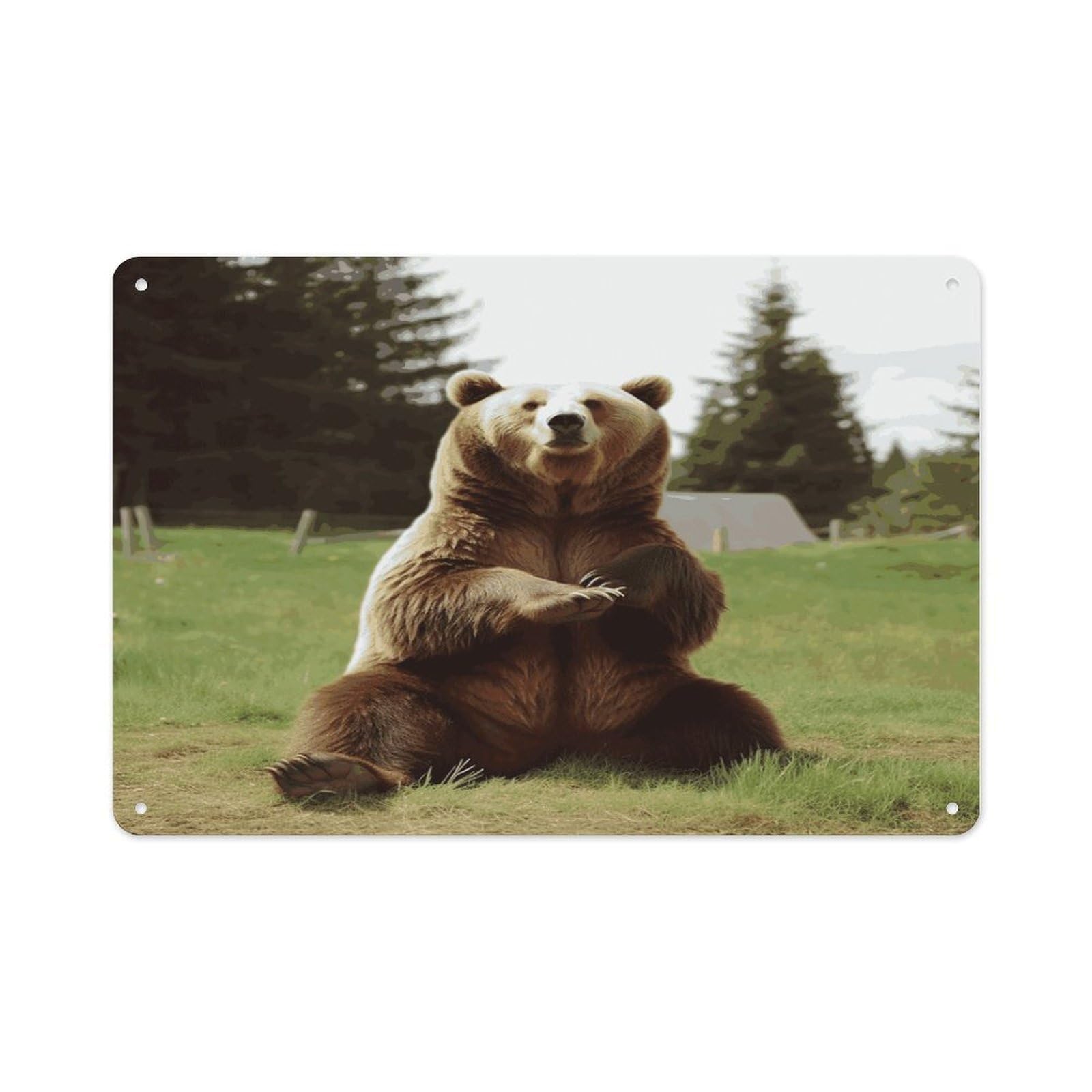 Btcowzrv Style Hi Bear Sit On The Lawn Metal Sign 7.9 X 11.8 Inch, Aluminum Sign Wall Art Decor Easy To Install, Decorative Plaque For Home Bar Kitchen Pub Shop Garage