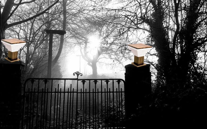 Waterproof Outdoor Gate Light for Home & Garden (Bulbnot Incl.) (Pack of 4) 2
