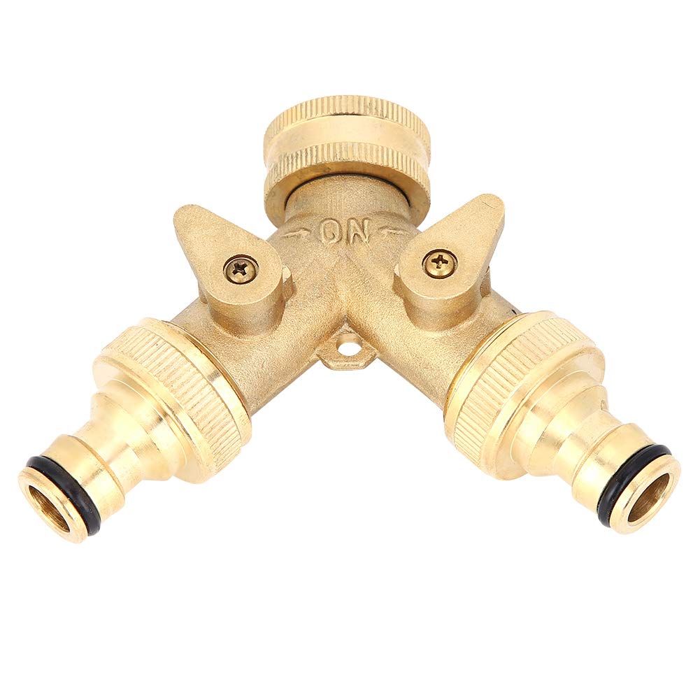 Fleishman 分岐　２点 Fleishman 分岐 2点 Fleishman 分岐2点