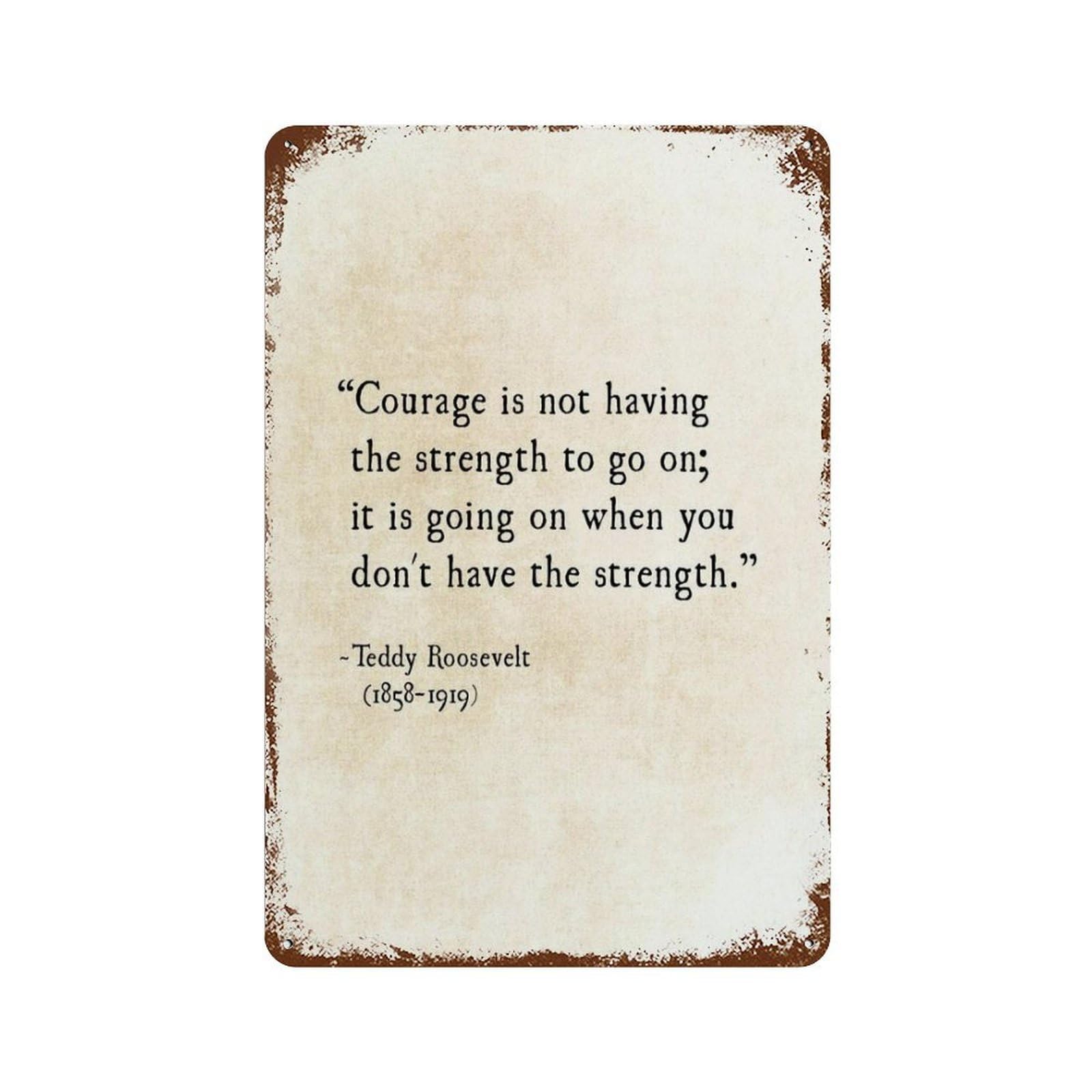 xiaoxiaoshen Quote Teddy Theodore Roosevelt Wall Decor Art Metal Tin Poster Modern Home Decor Art Home Bar Shop Decorations Vintage Sign 30x20cm