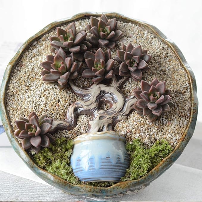 Image of BKD (5Kg, River Sand) Gravel for Aquarium Decoration /Home & Garden /Lawn Decoration /Aquarium Substrate /Terrarium /Quartz Sand