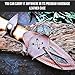 BIGCAT ROAR Predator Hunter - Handmade Damascus Steel Fixed Blade Knife 10