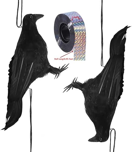 ZILIN Cuervo muerto falso de 12.6 in, cuervo de plumas negras, combinación realista de cuervos muertos con cinta láser de doble cara de 95 pies,