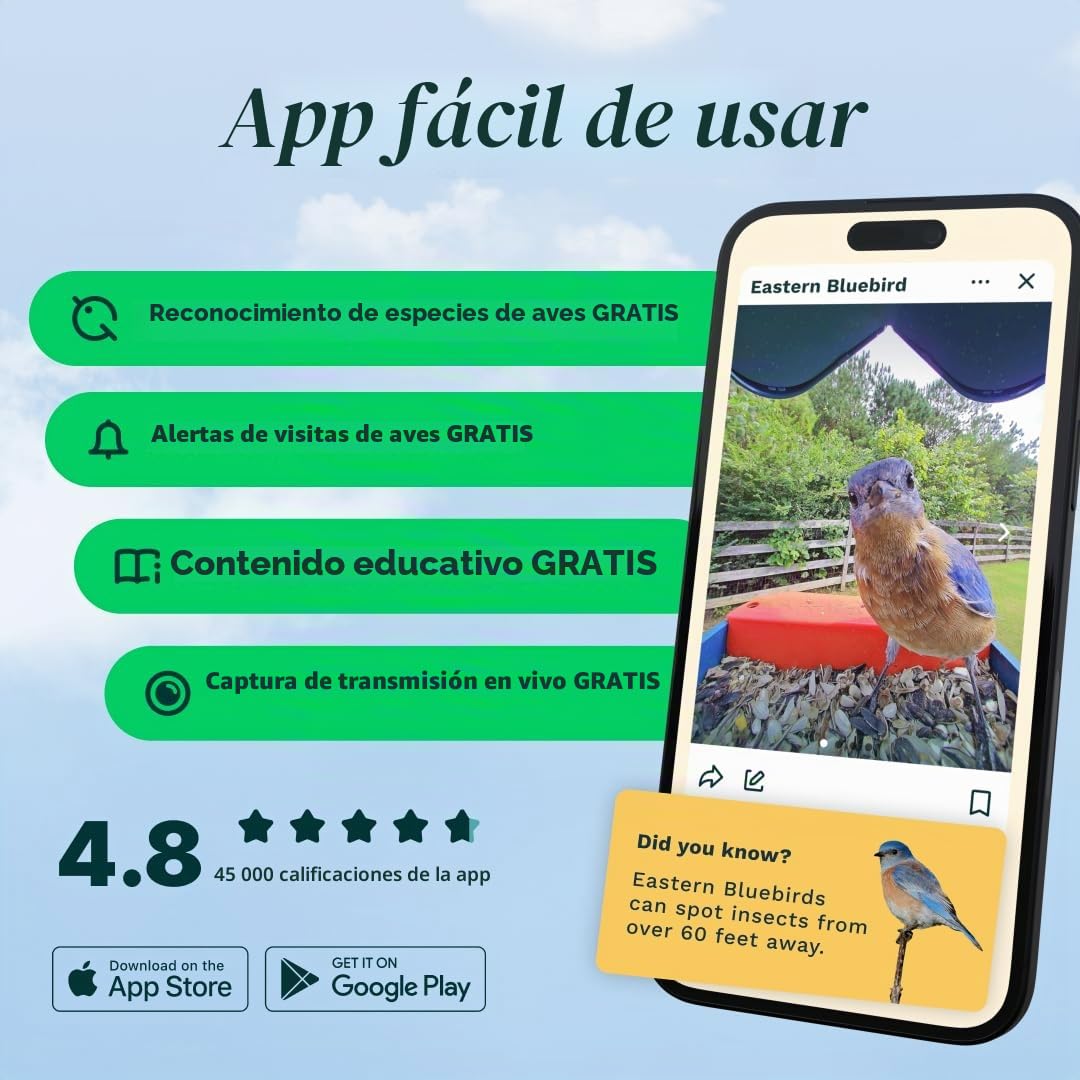Bird Buddy - Alimentador de pájaros Inteligente Original con cámara de energía Solar, cámara AI de Alta resolución para Hermosas Fotos cercanas y una Experiencia única