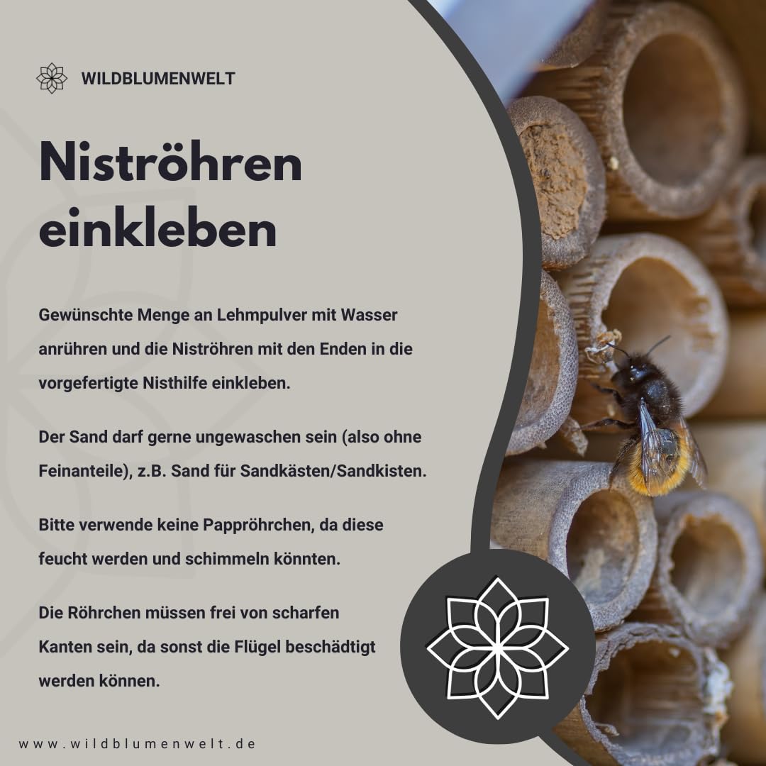 LEHM/polvere naturale di argilla per la costruzione di Sandarium & Api (aiuti di nidificazione), per il fissaggio di tubi di cova, per modellare bombe di seme, come offerta per rondini per la