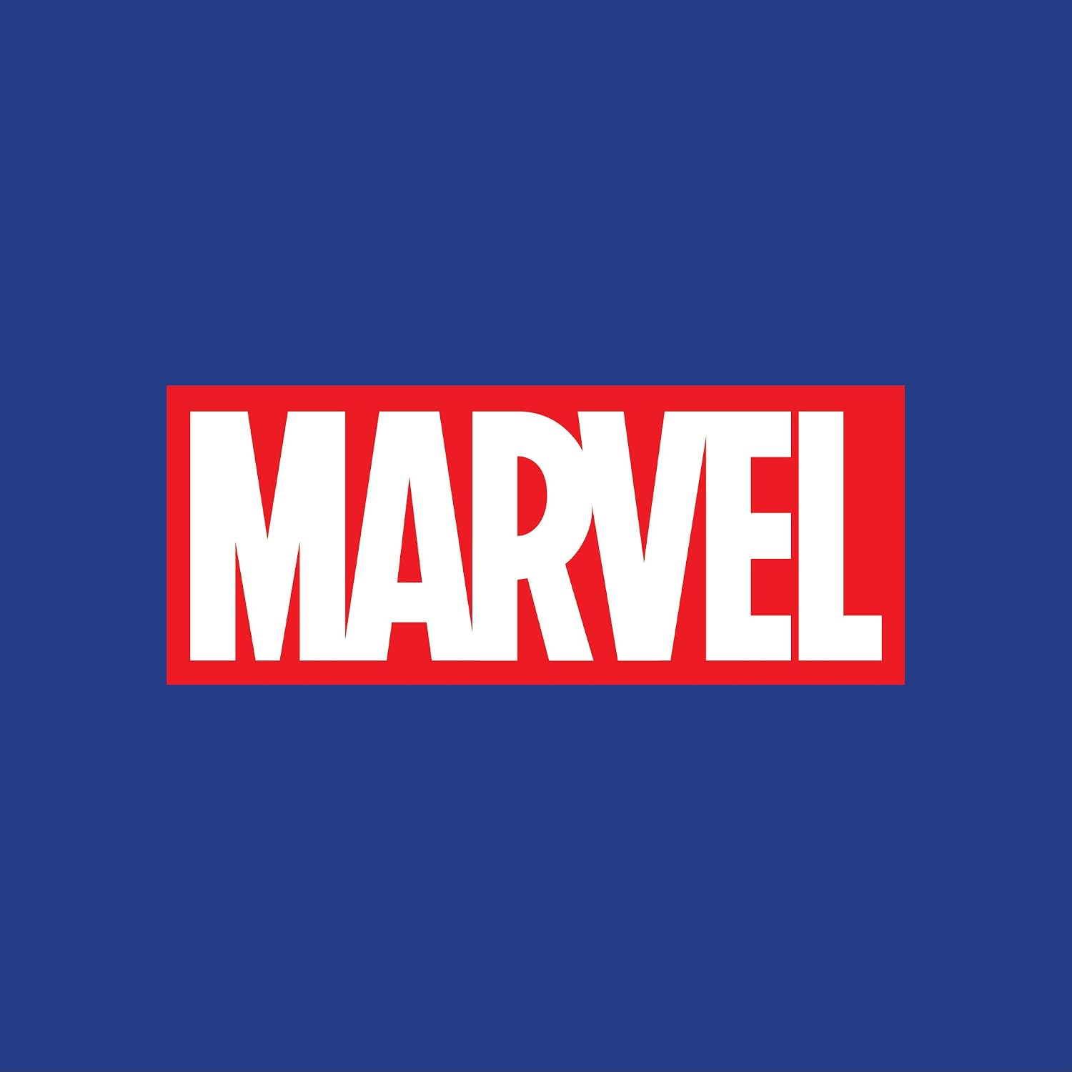 Marvel Comics Dead Pool Jewelry, Stainless Steel Dog Tag Pendant Necklace, 22" Box Chain