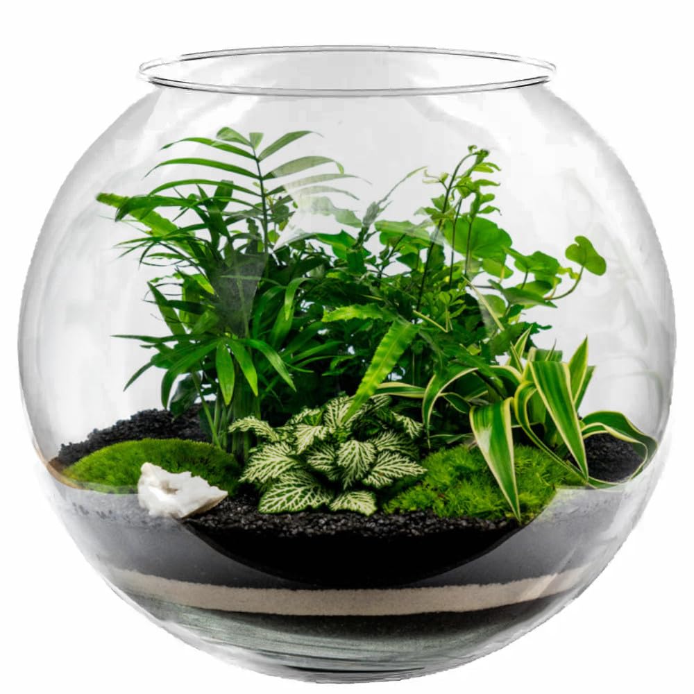Runde Fischglas-Vase Aus Kunststoff – Durchsichtiges Terrarium Mit Blasen, 24 Cm Für Tisch & Deko