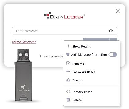DataLocker DL GO Encrypted USB Flash Drive | USB 3.2 Gen 1 | AES 256-bit XTS | FIPS 197 | IP68 Rugged | TAA Compliant with USB-C Adapter - 4GB