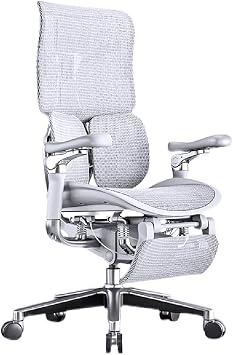 FMURY Ergonomic Chair Net Chair, Executive Home Office Chair, with Waist Support, Home Office BackrestE