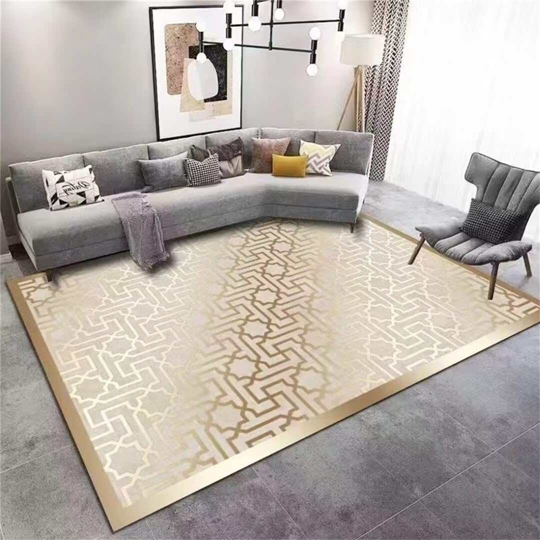 Tapis du salon lavable en machine pour éliminer les taches