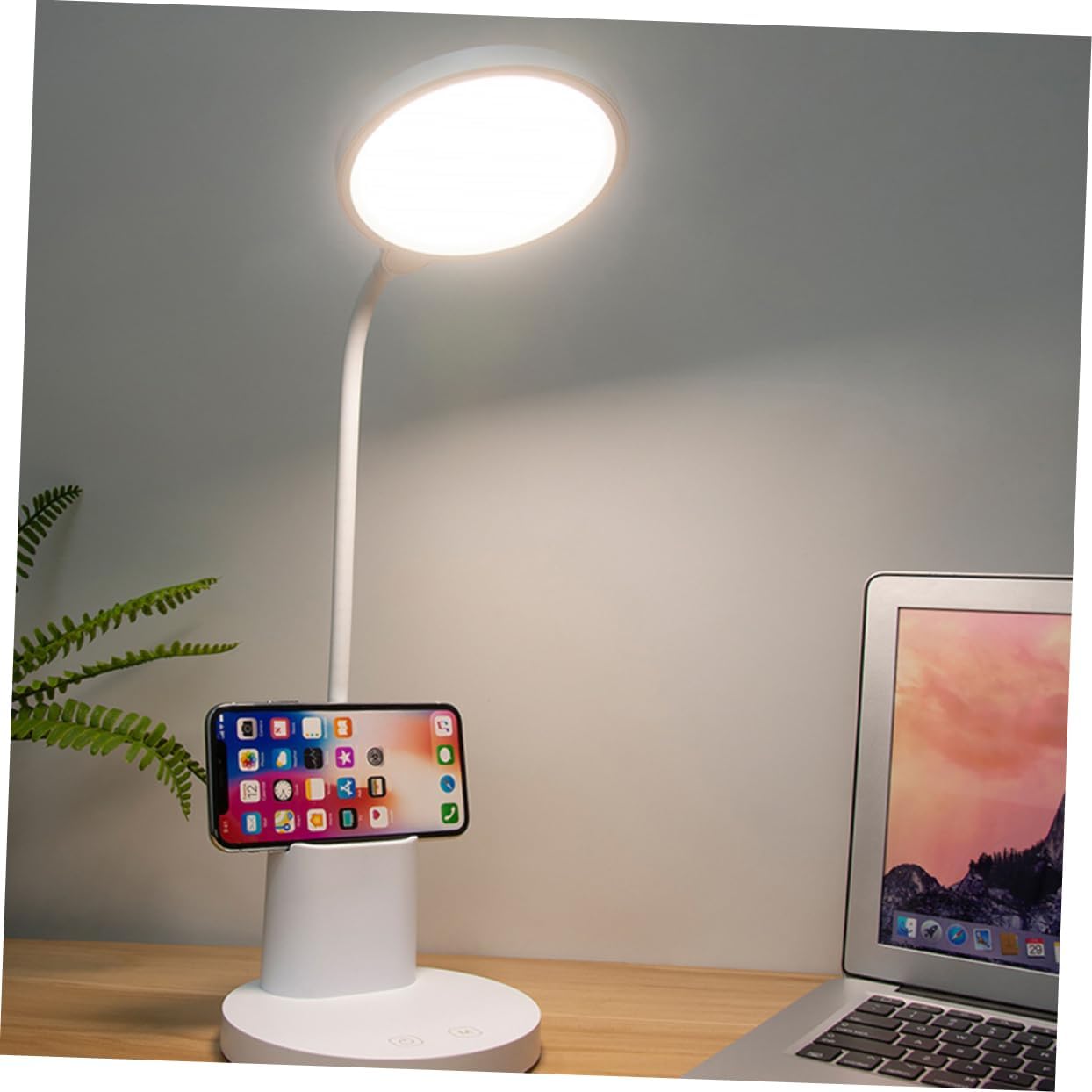 USB Rechargeable Led Reading Lamp with Touch Screen Adjustable Color Temperature Flexible Gooseneck Eye-Caring Desk Light for Home Office and Camping White