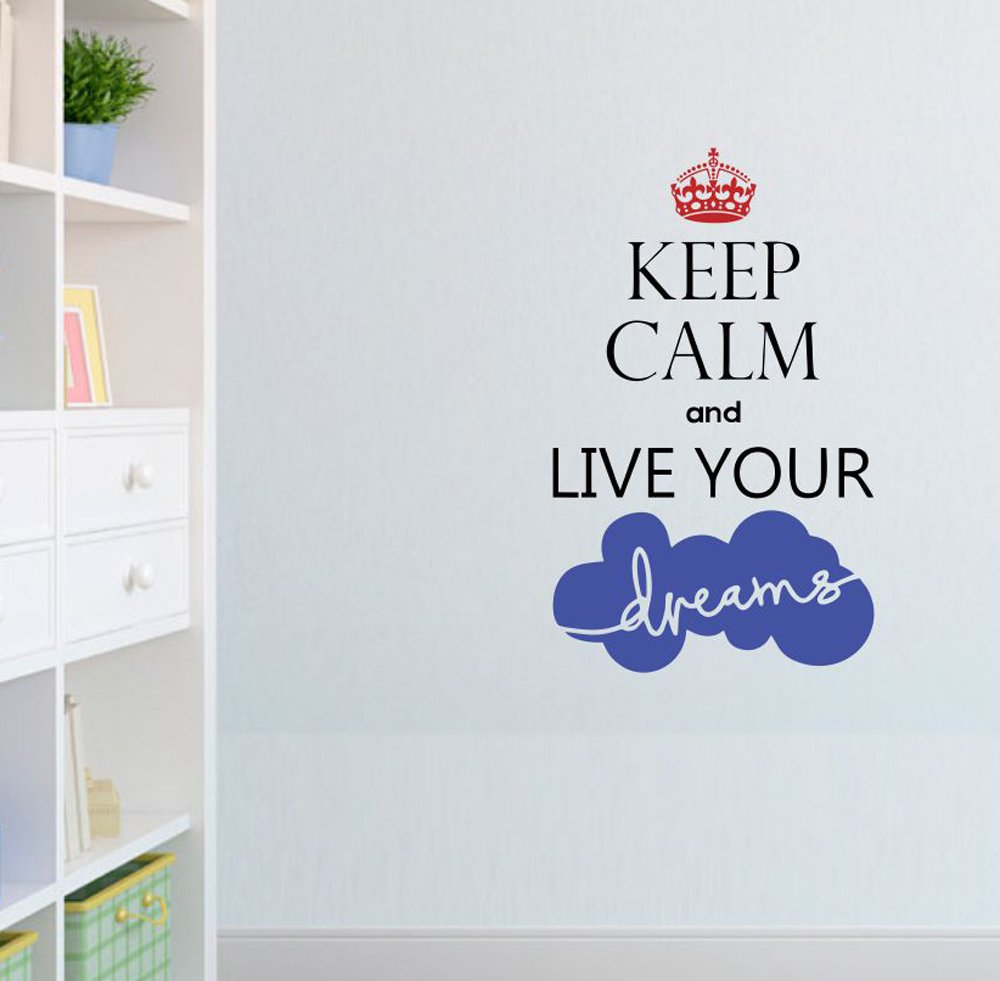 Asian Paints PVC Vinyl Keep Calm Dreams Wall-Ons/Wall Sticker (Multicolour, 0.01 cm x 30.48 cm x 76.2 cm, AS04M) (B0743KLD3S) Amazon Price History, Amazon Price Tracker