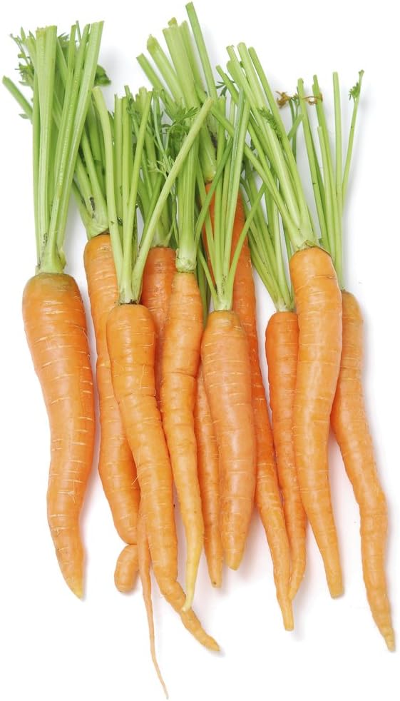 Local Organic Carrots, 2 Pounds