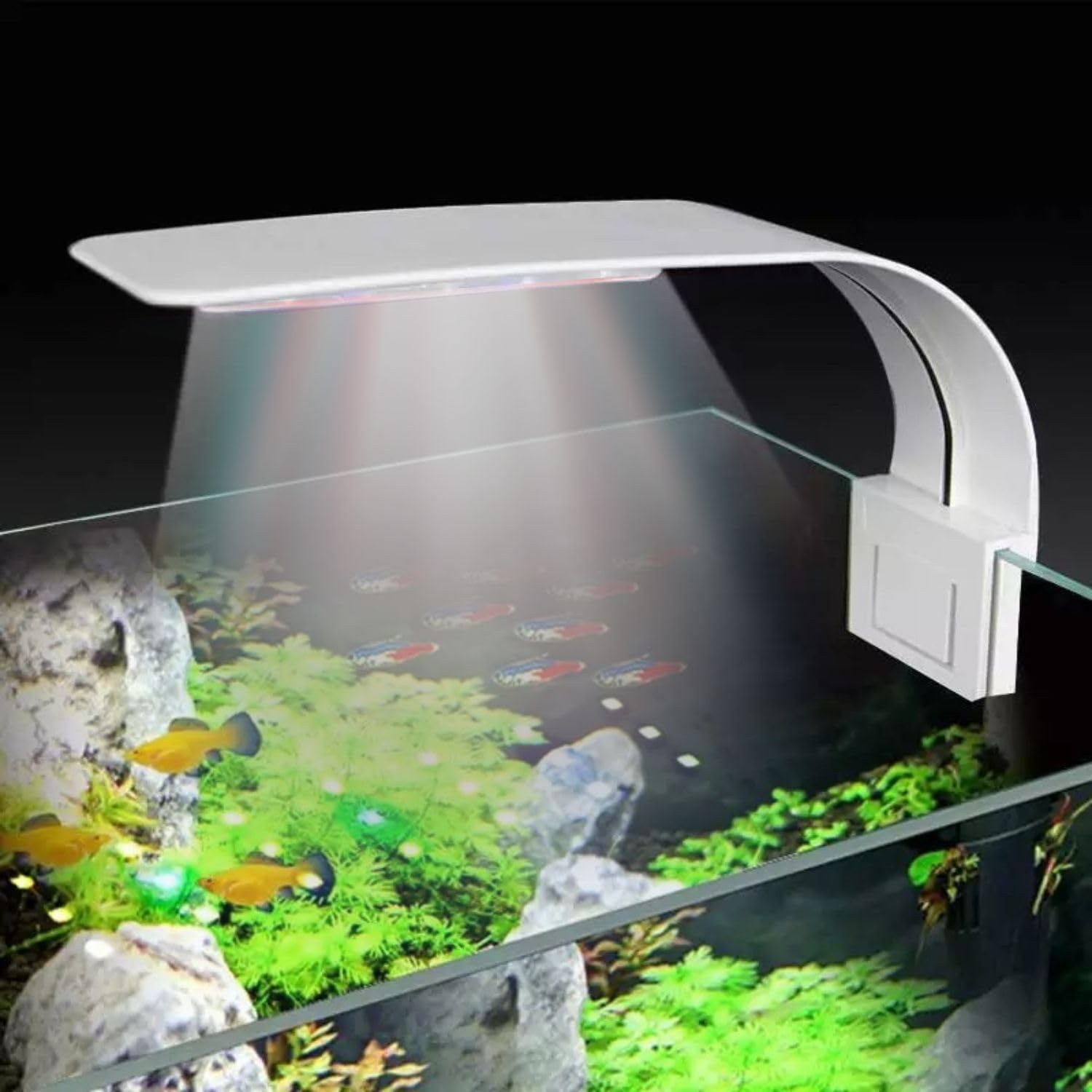 VAYINATO® (M-280 | WRGB White Super Slim LED Aquarium Light Fit for 1~3 Feet Tank Plants Grow Lighting Creative Clip-On Lamp, White by Petzlifeworld (B0CZLGZRZT) Amazon Price History, Amazon Price Tracker
