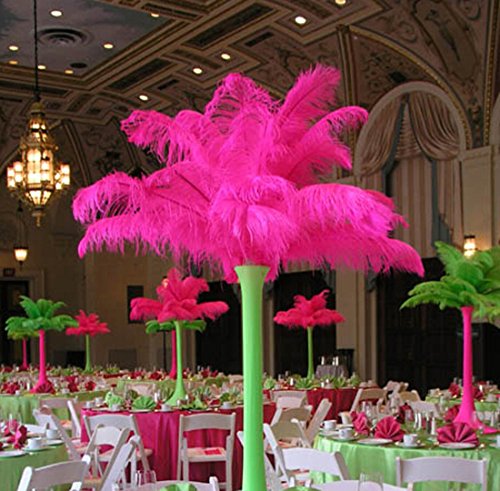 Ewanda Store 20Pcs Ostrich Feathers,10-12Inch 25-30Cm Real Natural Ostrich Feathers Diy Craft Feather For Home Party Wedding Decoration(Hot Pink) #TOP4