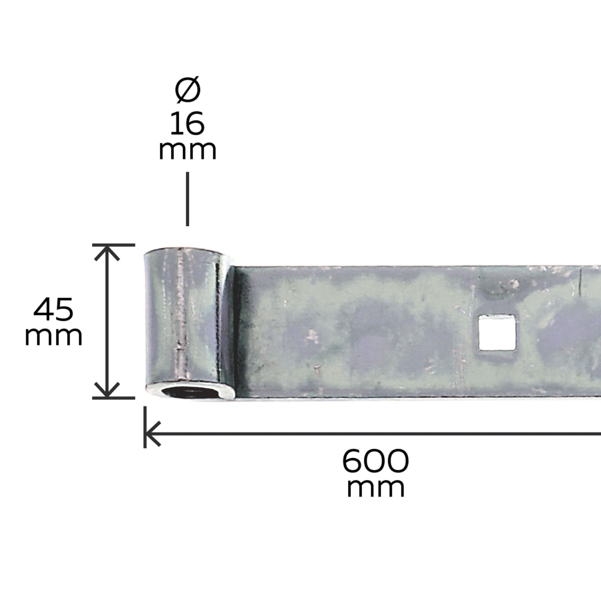 Alberts 845346 Pernio, En distintos modelos, Galvanizado, pasivado con capa gruesa, Ø del pasador 16 mm, Tamaño 600 x 45 mm, Juego de 10