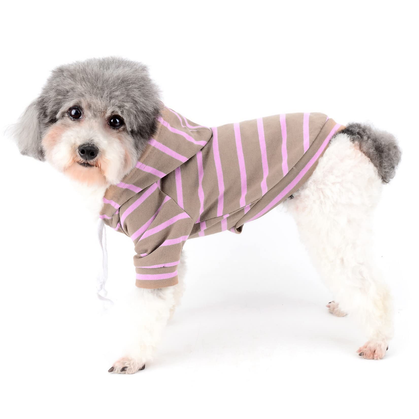 Felpa Con Cappuccio Per Cani Piccoli - Maglietta A Righe Maniche Corte - Taglia M Azzurro - Foto 8