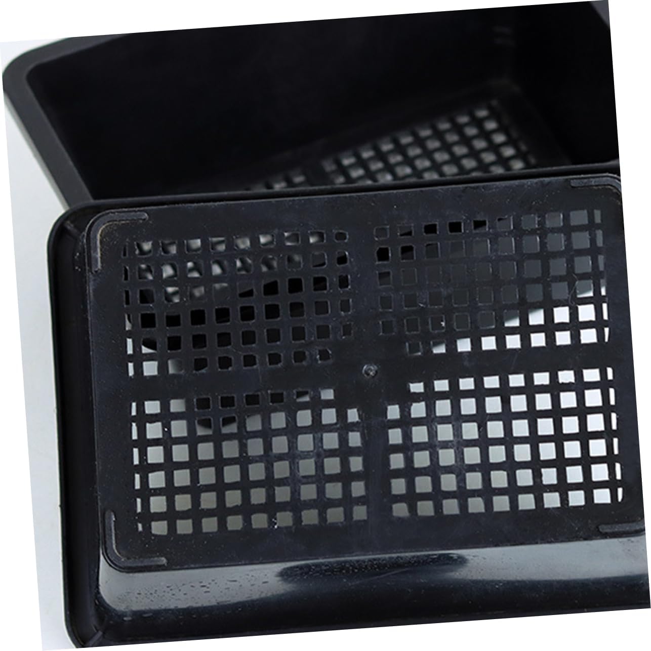 20pcs Plant Germination Trays Lightweight Nursery Trays for Easy Growth Premium Plant Growing Plate for Greenhouse and Home Gardening