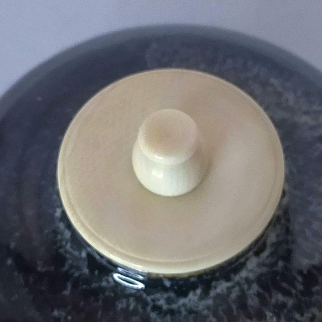 内海茶入 桶谷定一 茶道具 仕覆 蓋 共箱 大海茶入 中海 茶入 蓋