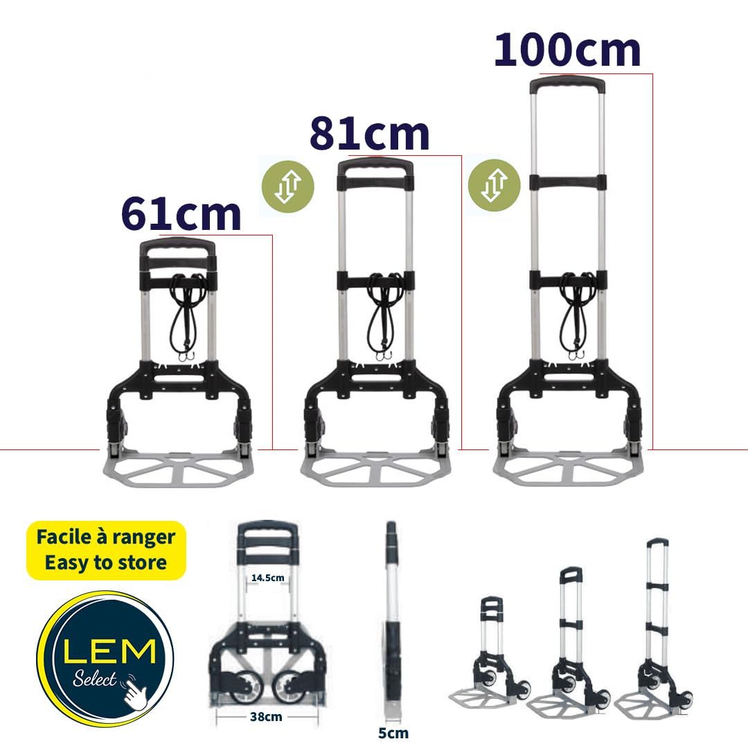 Carrello pieghevole leggero telescopico carico capacità 80kg in alluminio argento-nero